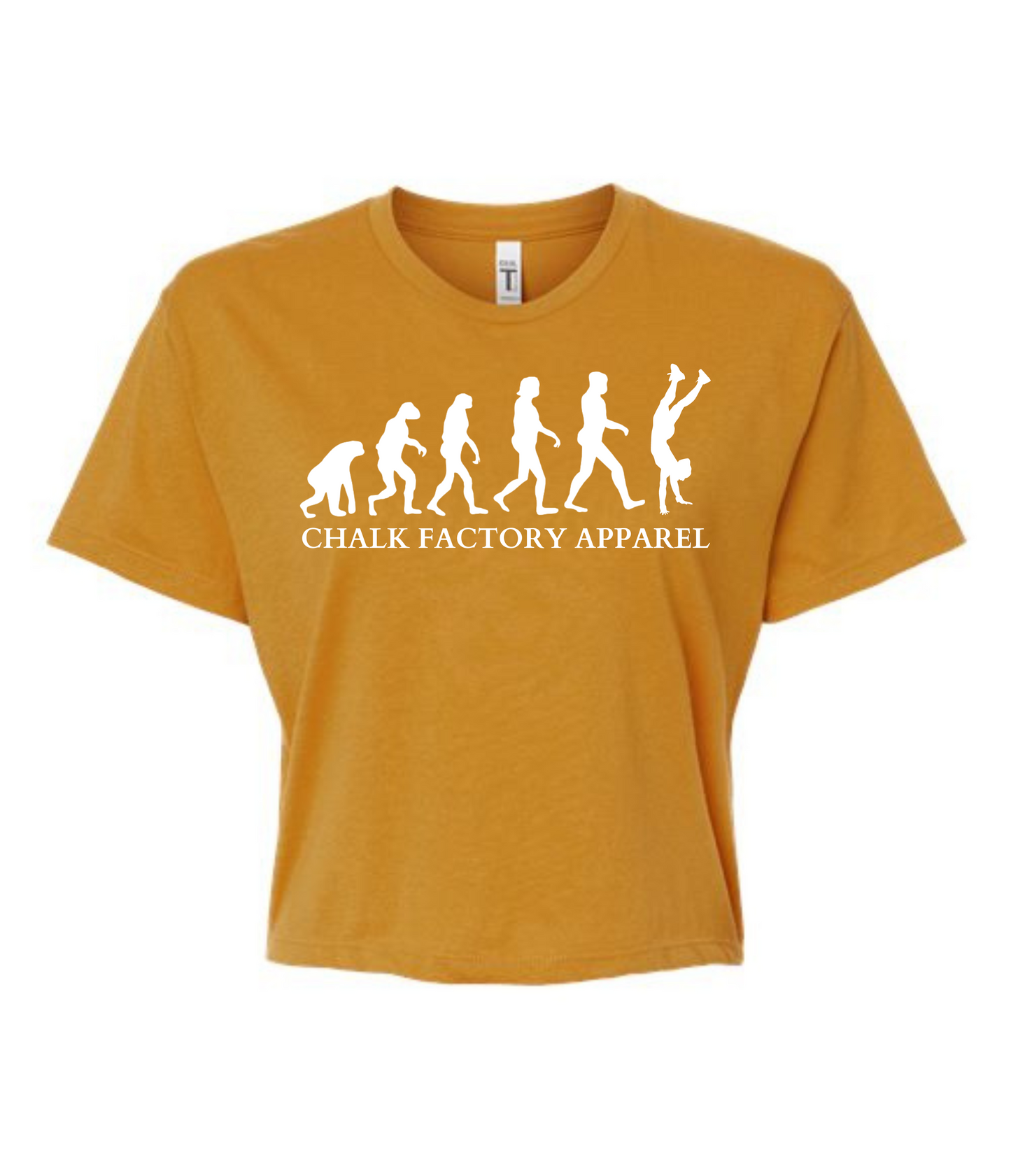 Evolution Crop Top